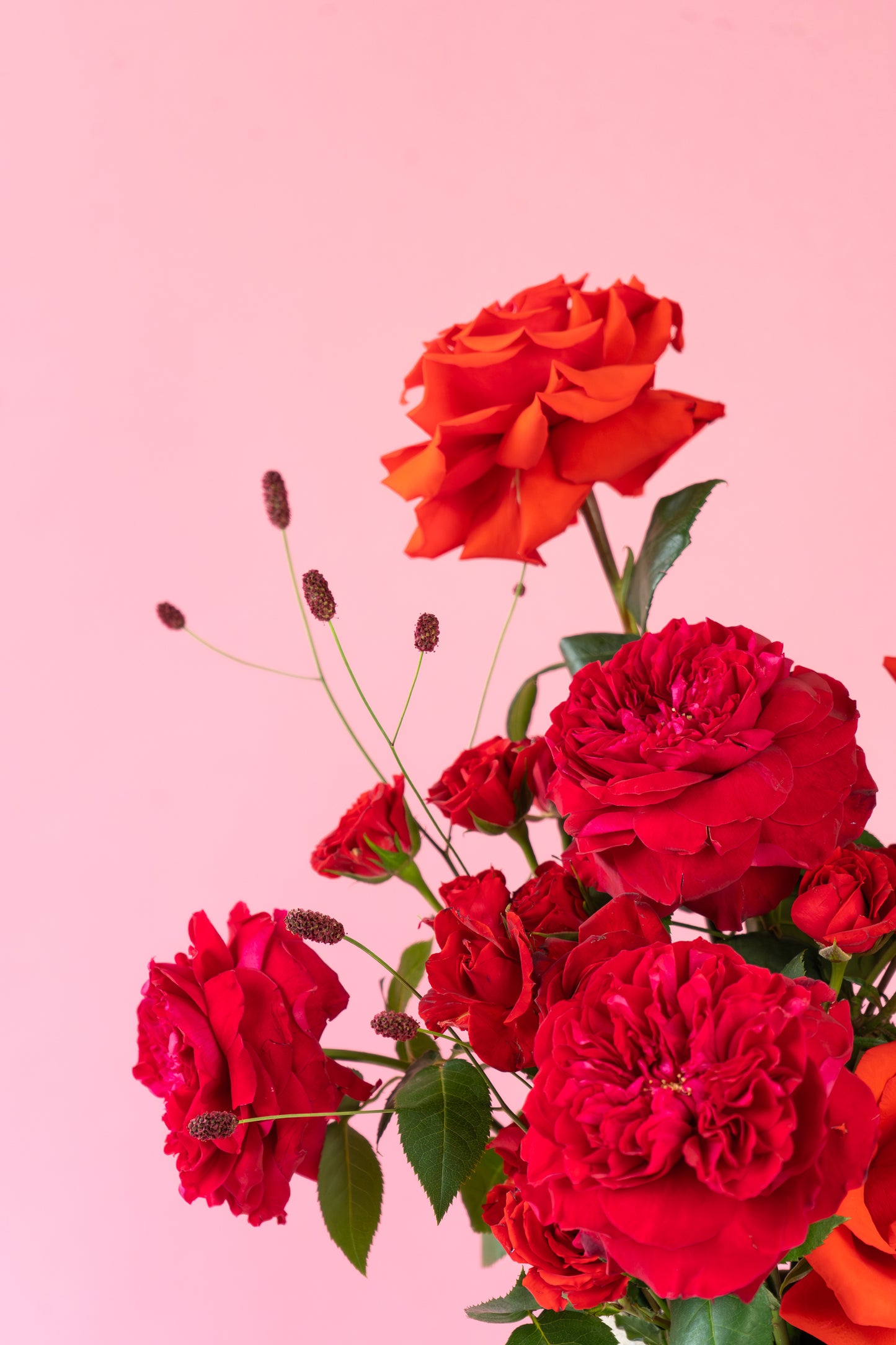 Vancouver Florist - Valentine's Hug
Arrangement