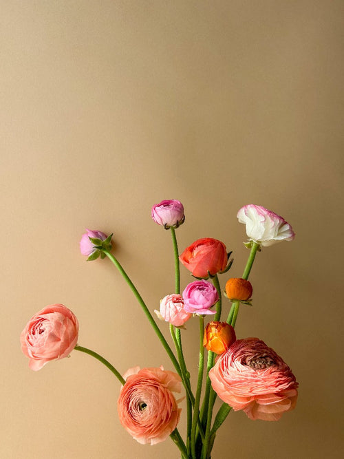 Mother's Day - Vancouver Florist - Vancouver Flower Delivery