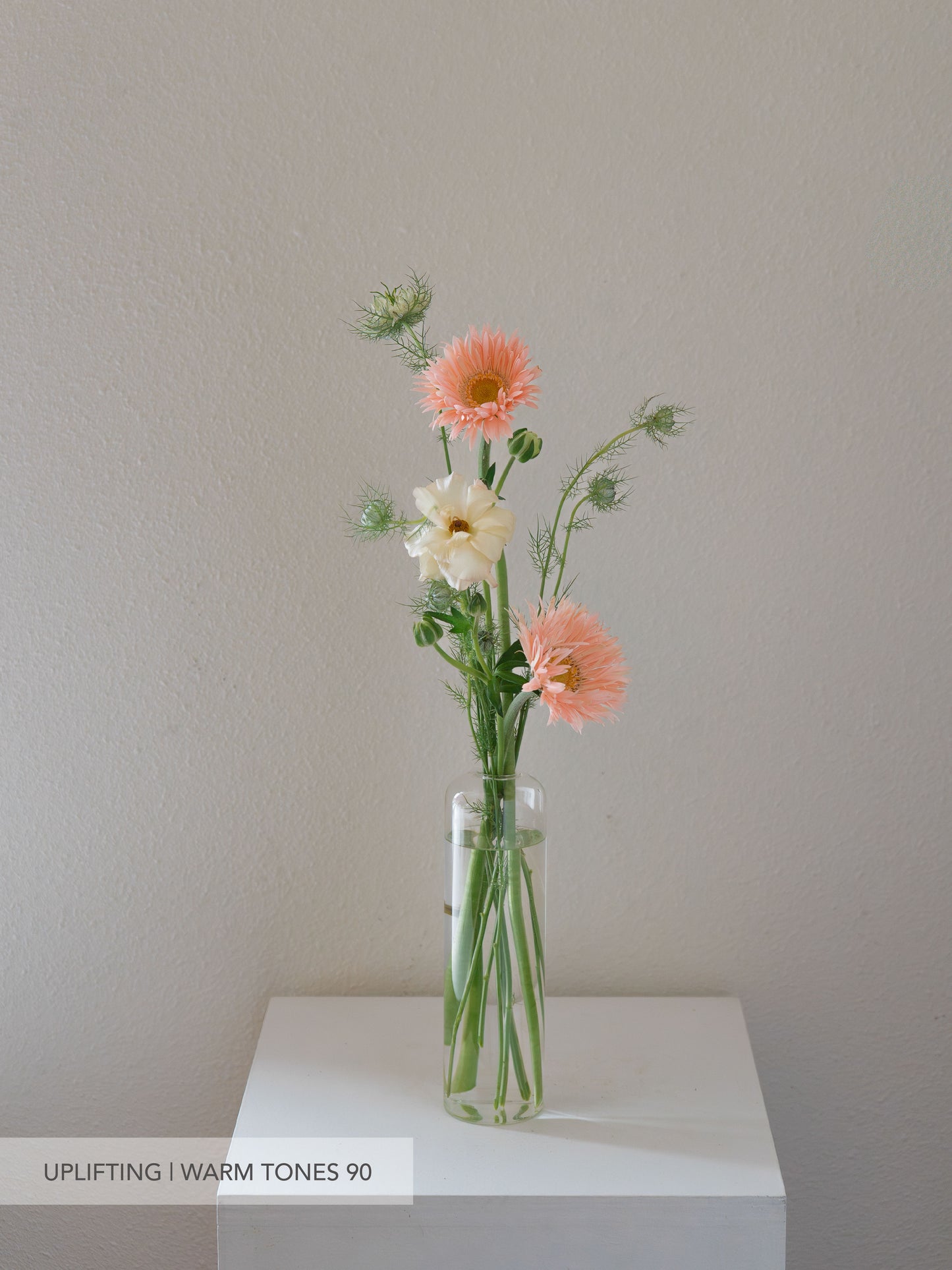 Glass Bud Vase